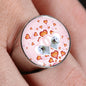 Maltese Dog Print Signet Ring