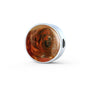 Tibetan Mastiff Dog Print Circle Charm Steel Bracelet