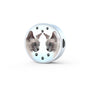 Tonkinese Cat Print Circle Charm Steel Bracelet