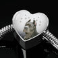 Cane Corso Print Heart Charm Steel Bracelet