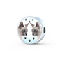 Tonkinese Cat Print Circle Charm Leather Bracelet