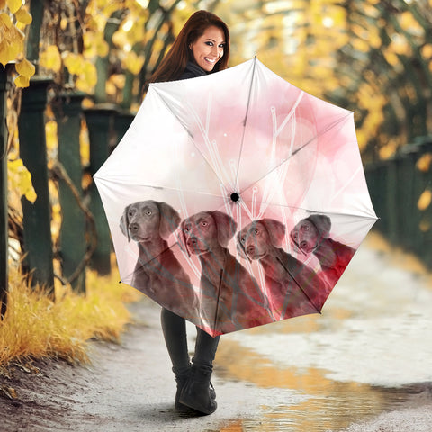 Weimaraner Print Umbrellas- Limited Edition