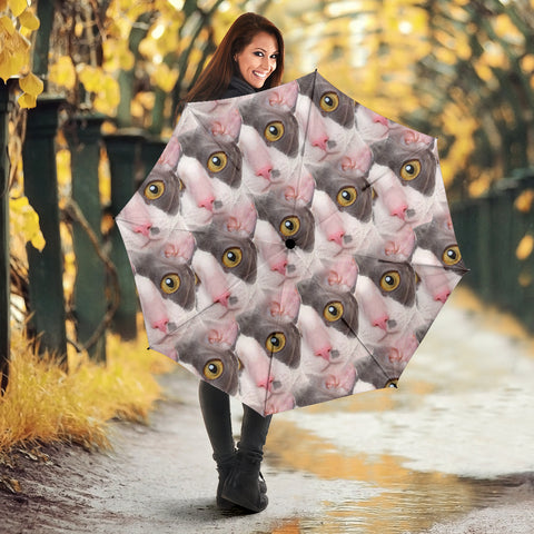 Cornish Rex Cat Print Umbrellas