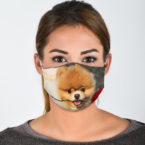 Pomeranian With Rose Print Face Mask