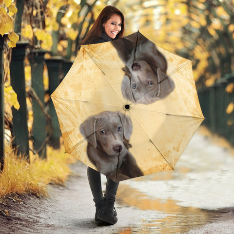 Weimaraner Print Umbrellas