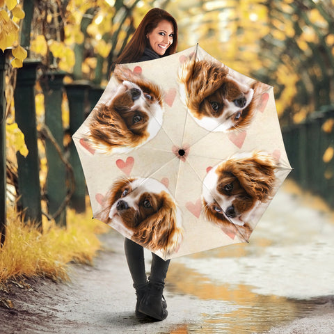 Cute Cavalier King Charles Spaniel Print Umbrellas