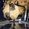 Weimaraner Print Umbrellas