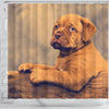 Dogue De Bordeaux (Bordeaux Mastiff) Puppy Print Shower Curtains