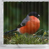 Lovely Bullfinch Bird Print Shower Curtains