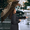Weimaraner Dog Print Umbrellas