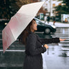 Weimaraner Print Umbrellas- Limited Edition