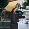 Weimaraner Print Umbrellas