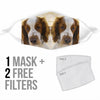 Lovely Welsh Springer Spaniel Print Face Mask