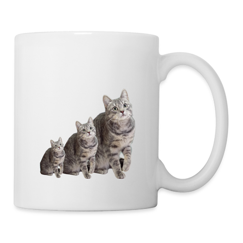 Cute European Shorthair Cat Print Coffee/Tea Mug - white