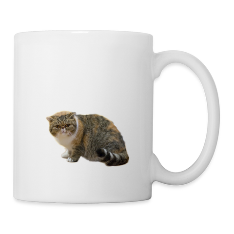 European Shorthair Cat Print Coffee/Tea Mug - white