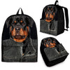 Rottweiler With Jacket Print Backpack Express Shipping