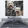 Glen Of Imaal Terrier On Black Print Tapestry
