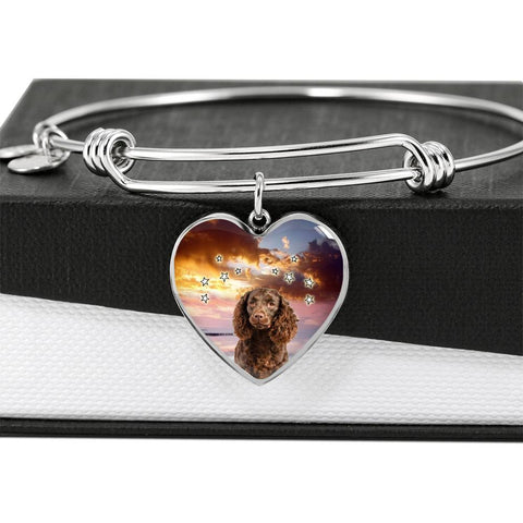 American Water Spaniel Print Luxury Heart Charm Bangle