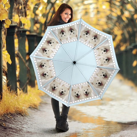 Samoyed dog Print Umbrellas