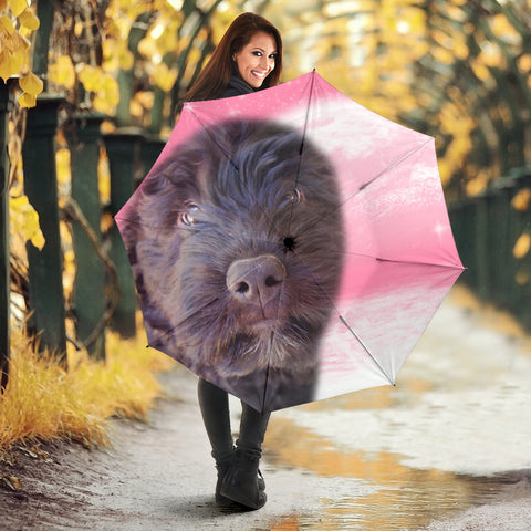 Bouvier des flandres Dog Print Umbrellas