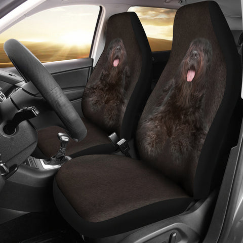 Bouvier des Flandres Print Car Seat Covers