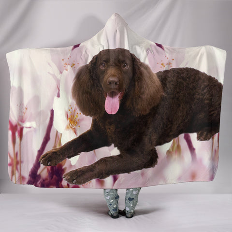 American Water Spaniel Print Hooded Blanket