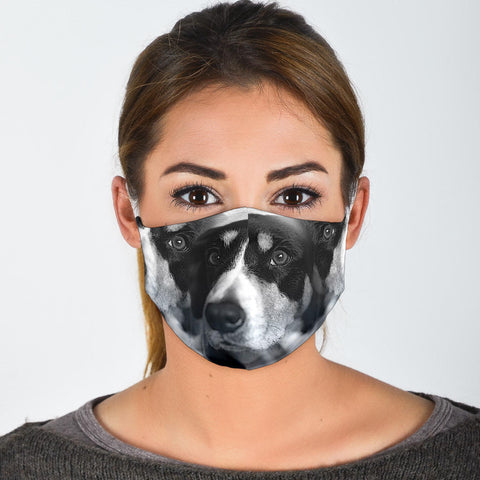 Entlebucher Mountain Dog Print Face Mask- Limited Edition