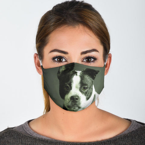 Boston Terrier Print Face Mask
