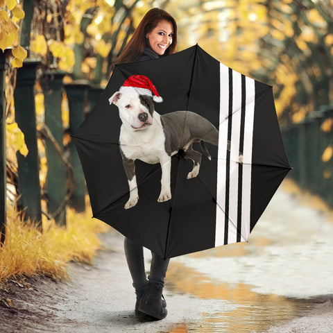 American Staffordshire Terrier Print Umbrellas