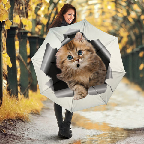 Cute Kitten Print Umbrellas