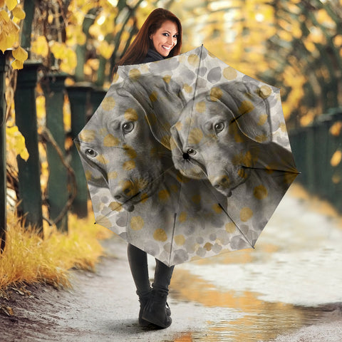 Amazing Vizsla Print Umbrellas