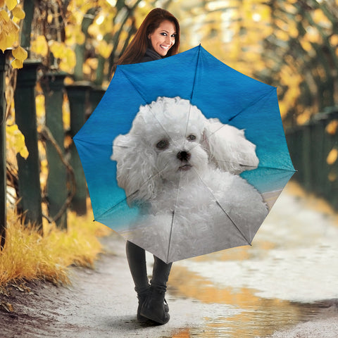 Lovely Poodle Print Umbrellas