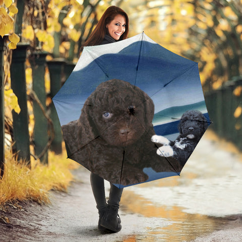 Barbet Dog Print Umbrellas