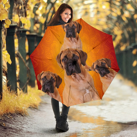 Bullmastiff Print Umbrellas- Limited Edition