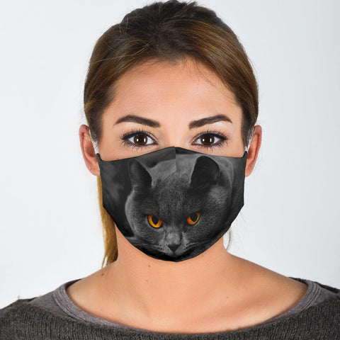 British Longhair Cat Print Face Mask