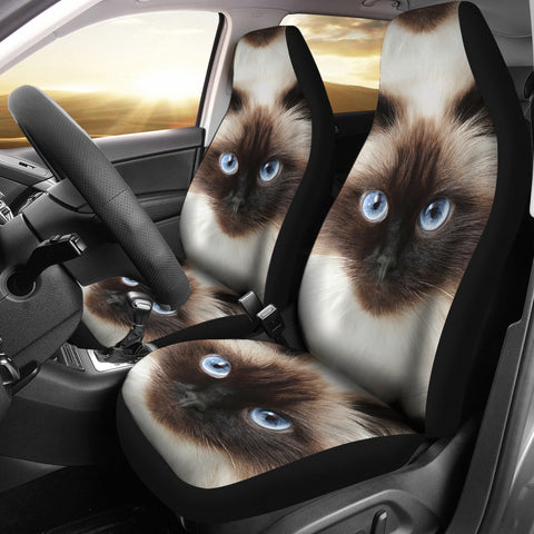 Himalayan Cats Print Car Seat Covers