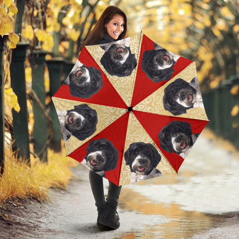 Portuguese Water Dog Print Umbrellas