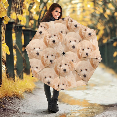 Golden Retriever Puppies Print Umbrellas