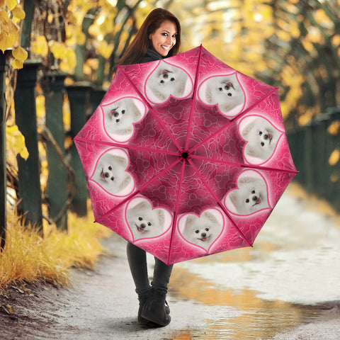 Pomeranian Dog Print Umbrellas