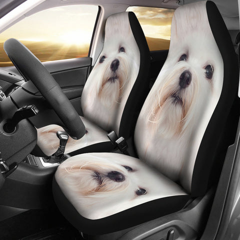 Coton de Tulear Dog Print Car Seat Covers