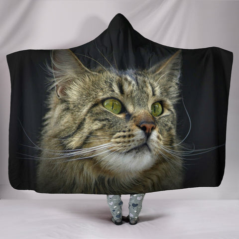 Amazing Norwegian Forest Print Hooded Blanket