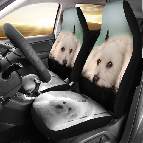Coton De Tulear Dog Print Car Seat Covers