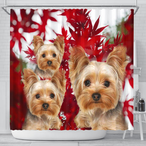 Yorkshire Terrier On Red Print Shower Curtains