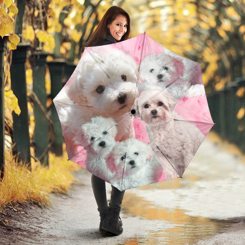 Bolognese Dog Print Umbrellas