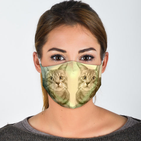 Cute European Shorthair Print Face Mask