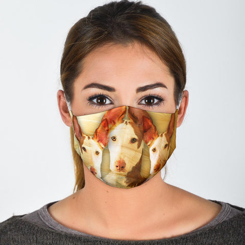 Ibizan Hound Print Face Mask- Limited Edition