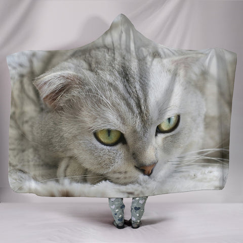 Lovely Scottish Fold Cat Print Hooded Blanket