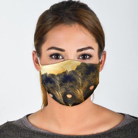 Affenpinscher Print Face Mask- Limited Edition