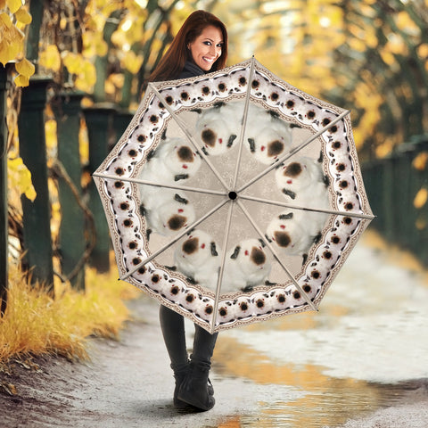 Himalayan Guinea Pig Print Umbrellas