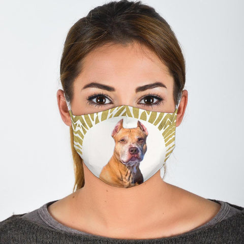 American Pit Bull Terrier Print Face Mask